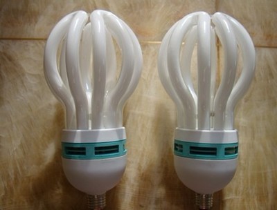 【廠家批發17管徑5U蓮花節能燈 特價蓮花系列節能燈】價格,廠家,圖片,節能燈,江門市荷塘霞光照明電器廠-